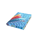 IT ALL STARTS HERE Sty 3.webp