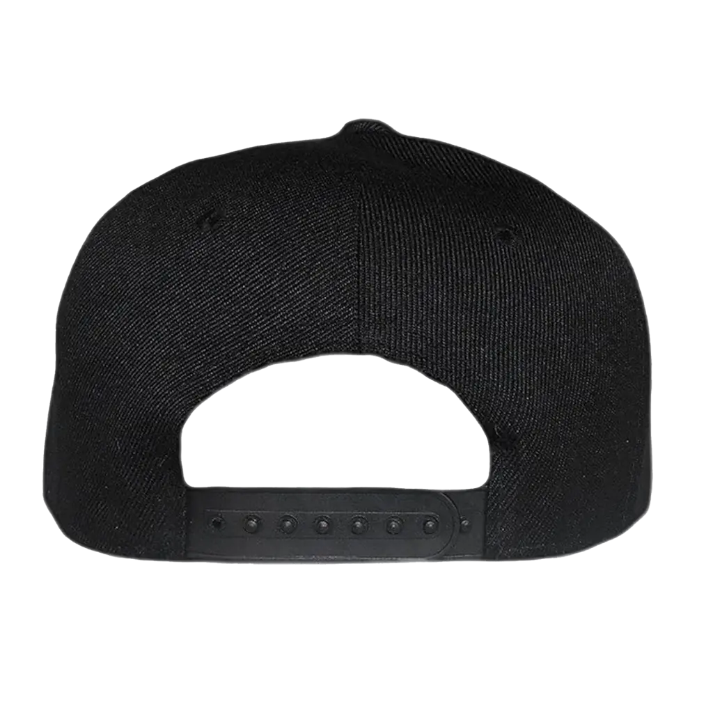 Classic Dad Cap Back.webp